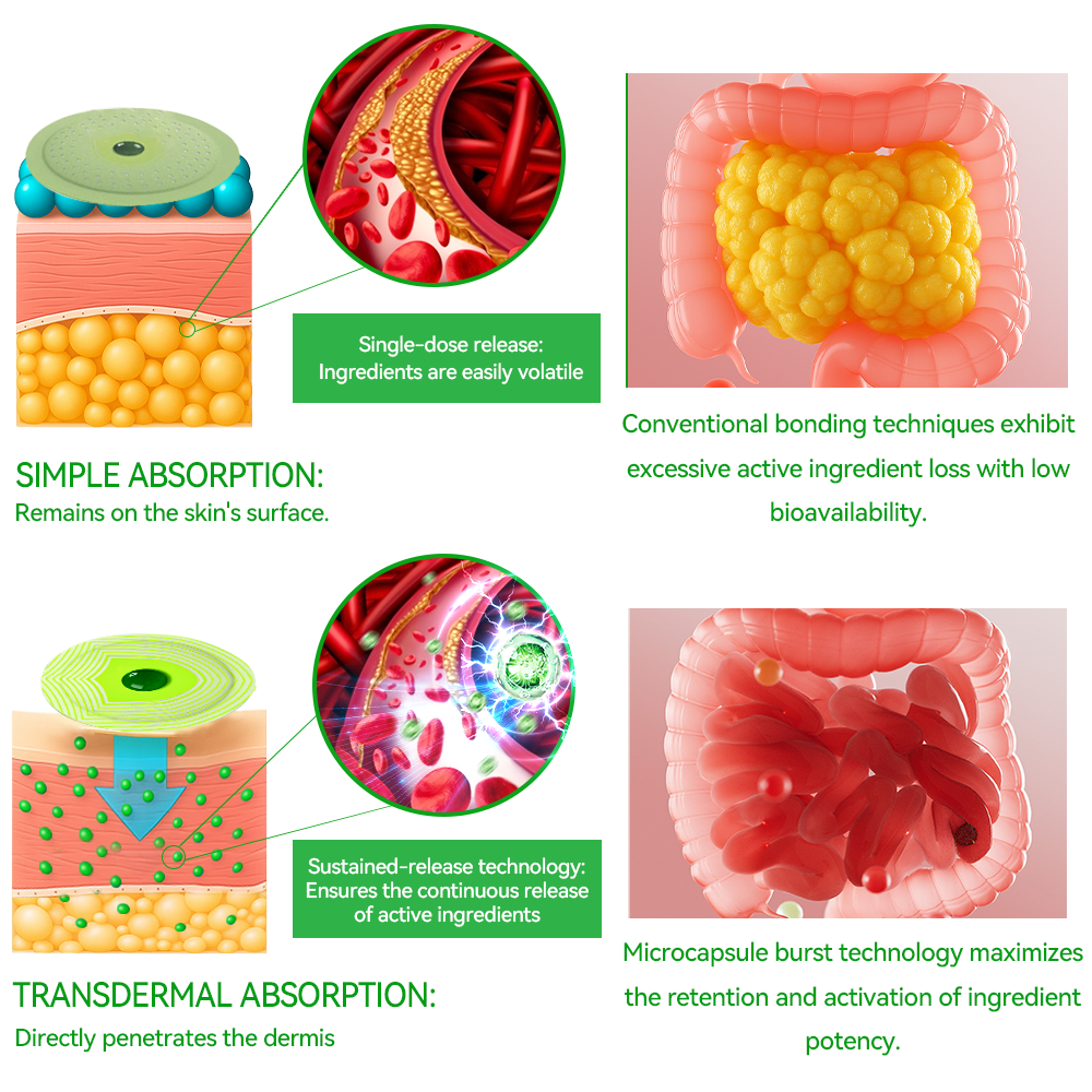 𝐑𝒆𝒔𝐮𝐥𝐭𝐬 𝒊𝒏 𝟕 𝐝𝒂𝐲𝐬✅𝐁𝐨𝒔𝒕𝗼𝗿𝗲® 𝐺𝑳𝐏 -1 𝐌𝐢𝐜𝒓𝒐𝒄𝒂𝒑𝘀𝘂𝗹𝗲 𝗕𝘂𝗿𝐬𝐭 𝑷𝒂𝙩𝙘𝙝 🌱