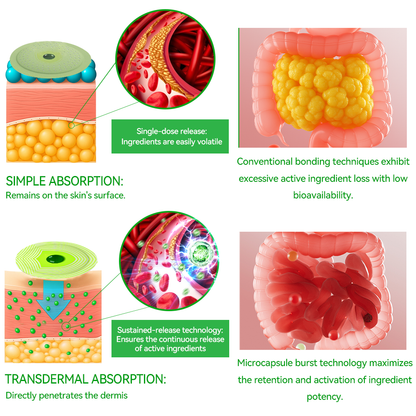 𝐑𝒆𝒔𝐮𝐥𝐭𝐬 𝒊𝒏 𝟕 𝐝𝒂𝐲𝐬✅𝐁𝐨𝒔𝒕𝗼𝗿𝗲® 𝐺𝑳𝐏 -1 𝐌𝐢𝐜𝒓𝒐𝒄𝒂𝒑𝘀𝘂𝗹𝗲 𝗕𝘂𝗿𝐬𝐭 𝑷𝒂𝙩𝙘𝙝 🌱